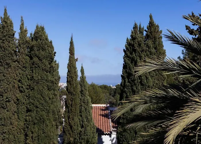 Con Piscina Privada *